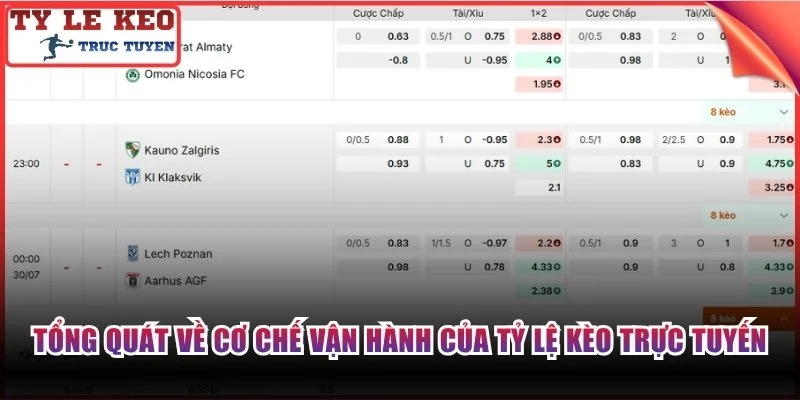 Tổng quát về cơ chế vận hành của tỷ lệ kèo trực tuyến